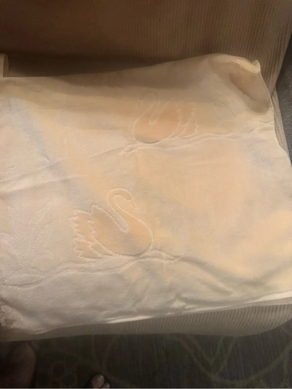 Swan Face Towel in Soft Peach 21.5 x 41.5 Set of two